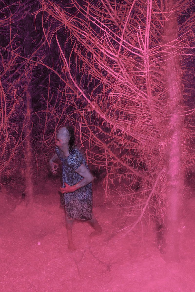 grimventures tweet media