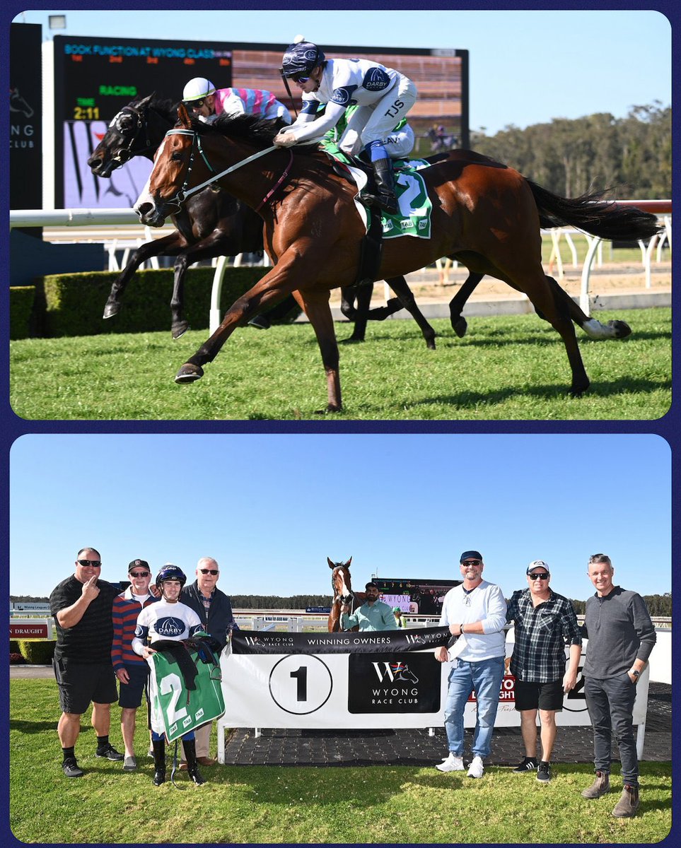 mcsmithracing's tweet image. We’re off to a flyer 💨 

The new season couldn’t have started any better for Team MCS with 2 winners on the board @WyongRaceClub

Deep Voyage @G1TySchil for @Darby_Racing

Chain of Gold, Jason Collett for Hobartville Stud! 

📸 @WyongRaceClub &amp;amp;Bradley Photos

#TeamMCS
