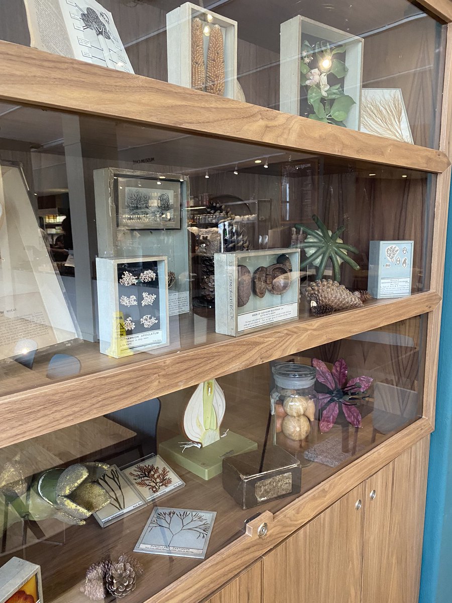 Stephanie tweet media