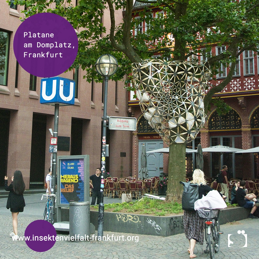 isoewikom's tweet photo. Die Lebensweise der Stadtmenschen führt dazu, dass #Insekten vertrieben, ausgeschlossen und bekämpft werden. Dabei bietet die Stadt in Form diverser Grünflächen Lebensräume für Insekten. Darauf möchte auch die Kunstinstallation #InsectEmbassy hinweisen: https://t.co/OCFzhbTXPN https://t.co/mYobtbpnHr