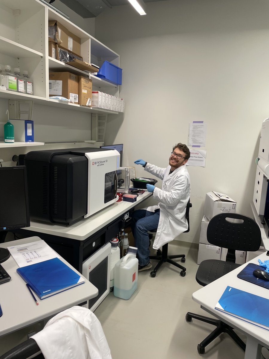 Marc Beyer tweet media