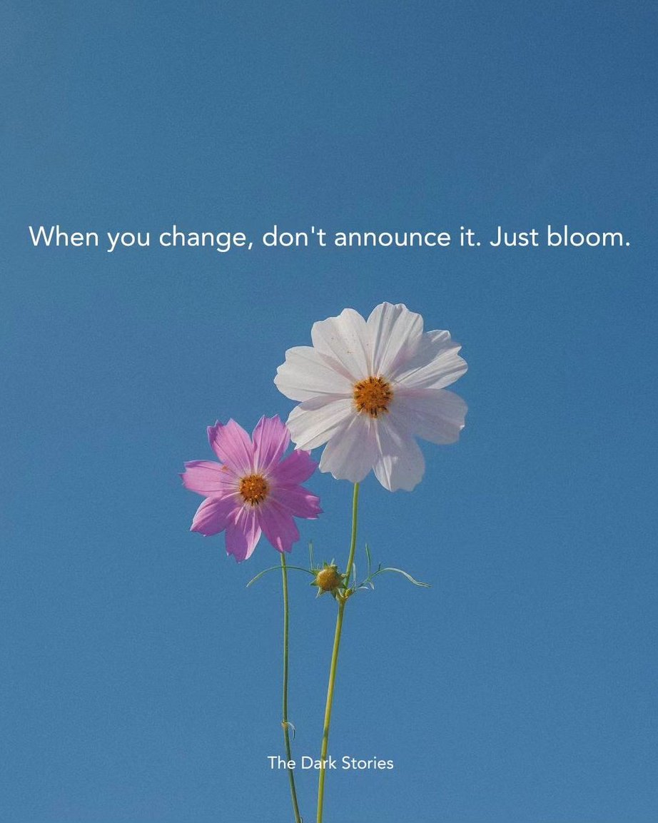 ZoltiumHQ's tweet image. 15 Straightforward Quotes on Self Care :

1.