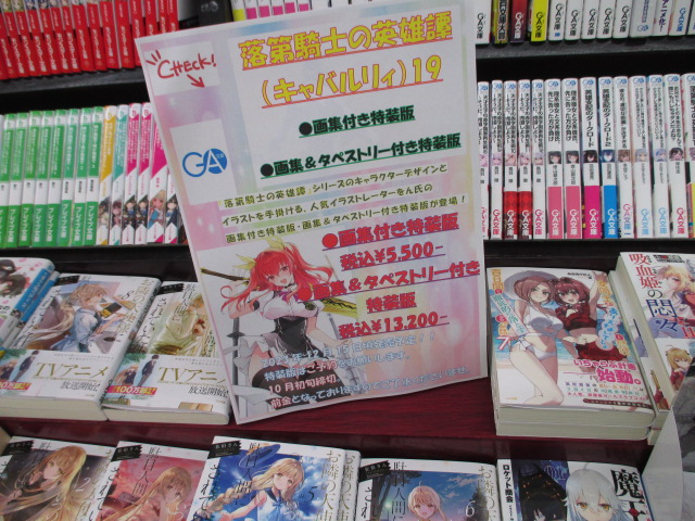 【美品】特装版 落第騎士の英雄譚 19巻 画集付き 落第騎士の英雄譚(キャバルリィ)19 画集付き特装版 19 本
