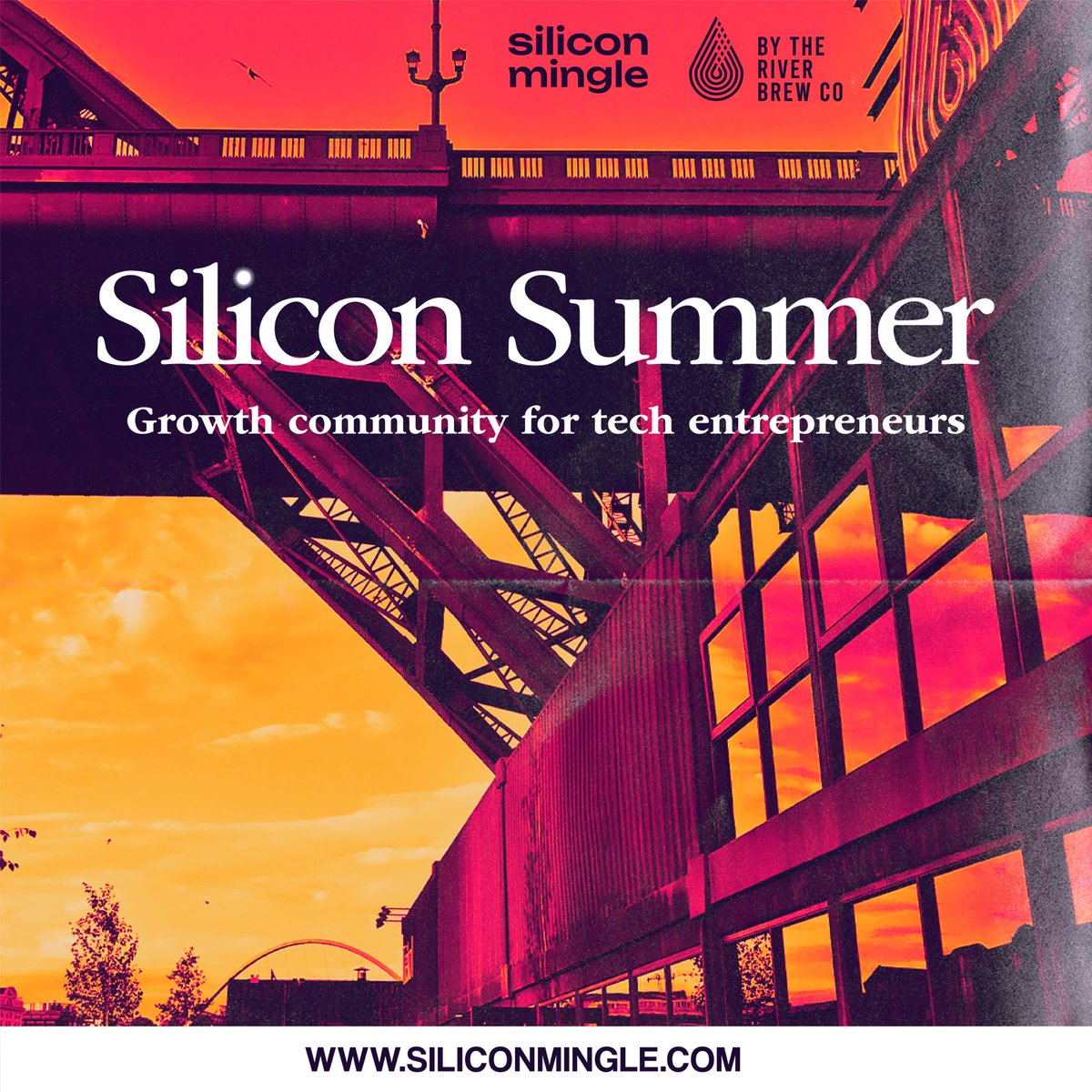 Silicon Mingle tweet media