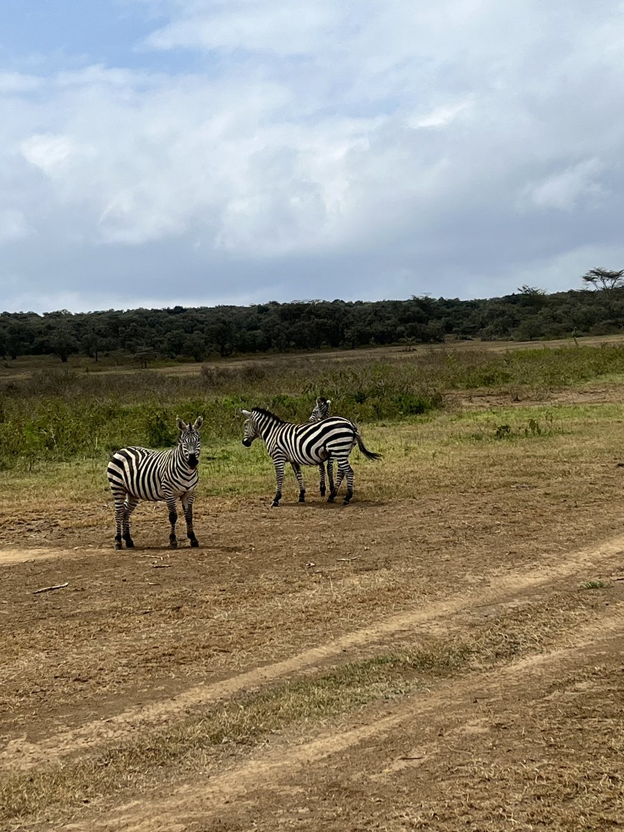 Lee Wilkinson tweet media