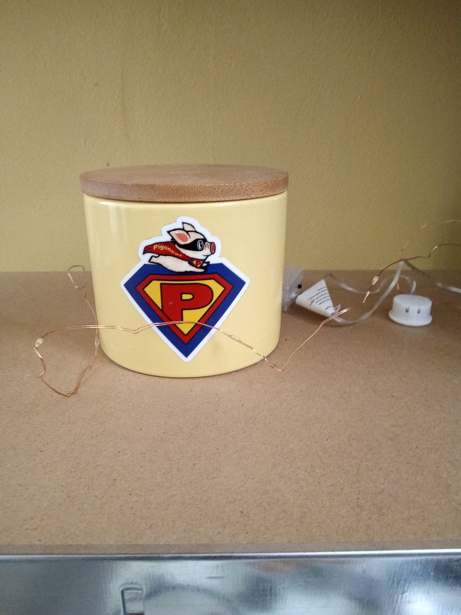 chevysgirl11's tweet image. #Pigoneer here 🙌🩷🐷