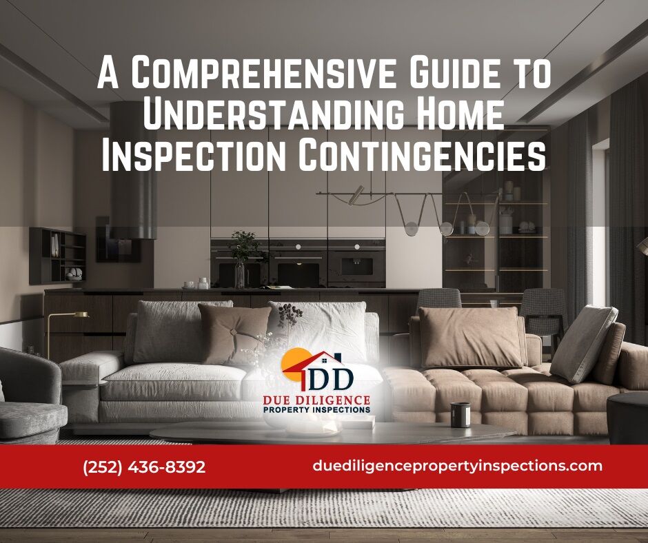 Due Diligence Property Inspections tweet media
