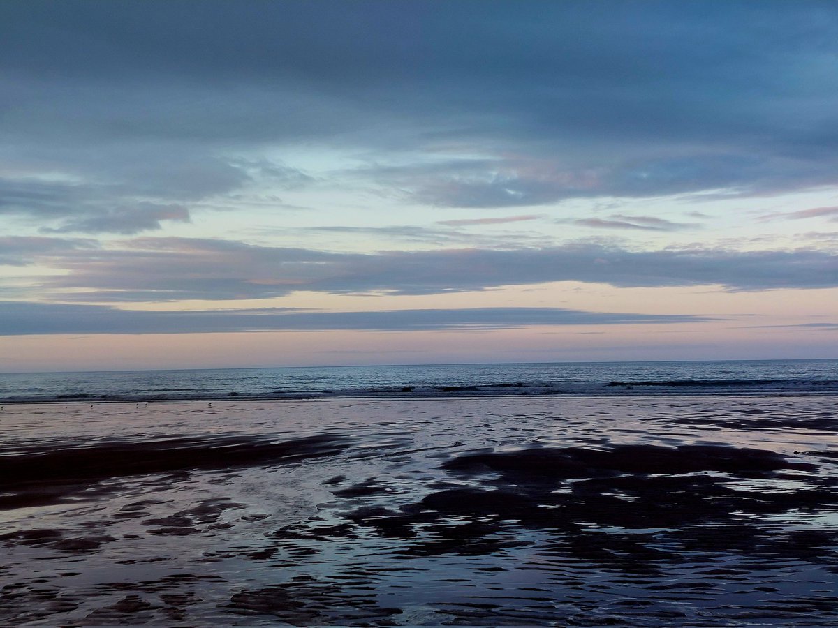 andisheffer's tweet photo. Evening walk, Ezra's first time on the beach @Warkworth_Amble she loved every minute! #warkworthcastle #papihound #happypuppy #Ezra https://t.co/oz1q0Vr2a0