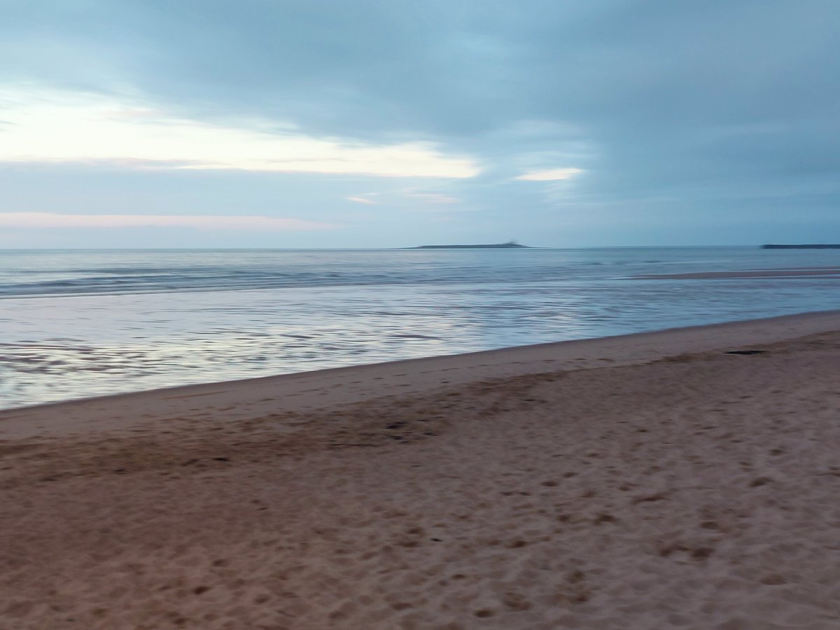 andisheffer's tweet photo. Evening walk, Ezra's first time on the beach @Warkworth_Amble she loved every minute! #warkworthcastle #papihound #happypuppy #Ezra https://t.co/oz1q0Vr2a0