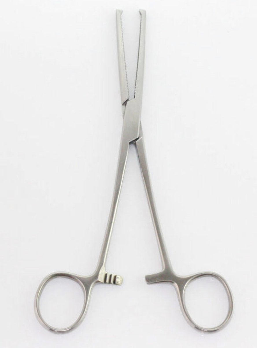 ✨Gareth Stables✨ tweet media