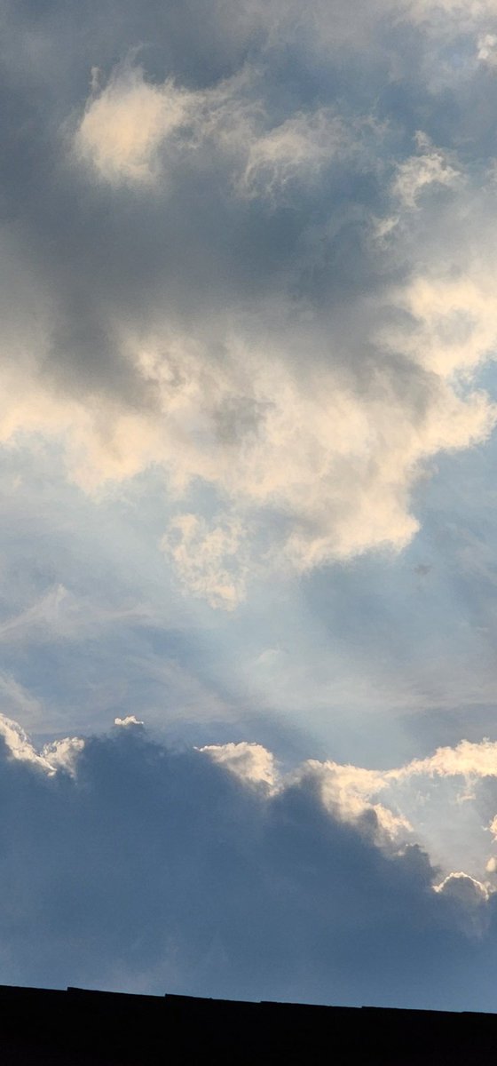 walk_n_coffee's tweet image. 명상가 샘 해리스Sam Harris, 또한 두려움을 사라지게 하는 간단한 방법으로 맑은 하늘을 이용할 것을 권유한다. 이는 많은 타이탄들이 효과를 얻고 있는 방법이기도 하다. 그는 이렇게 말했다. &quot;족첸Dzogchen을 아는가? 이는 티베트 불교의 최고 수행법이다. 두려움이나 불안이 엄습할 때는