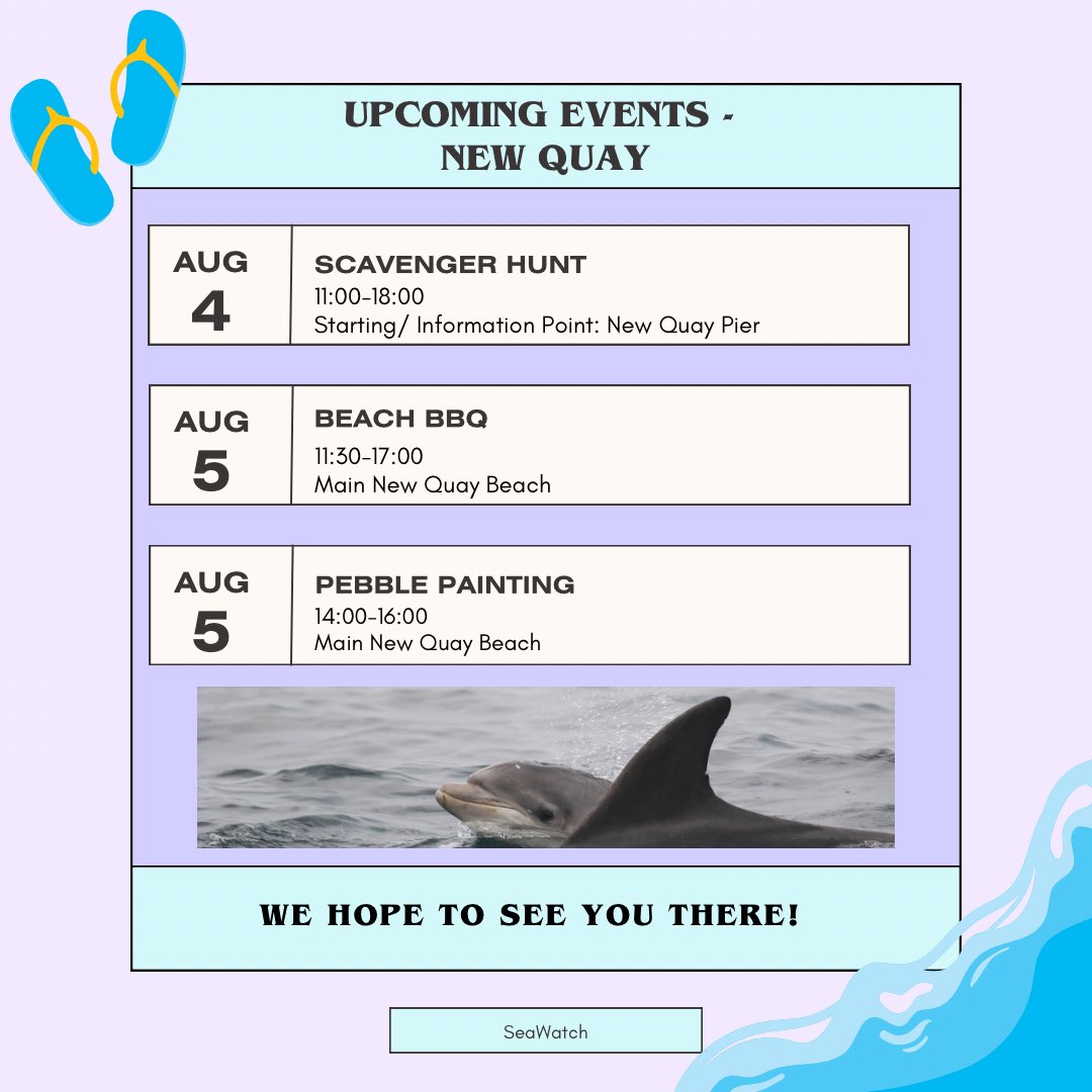 Don’t miss the last few local events for this National Whale and Dolphin Watch! #NWDW2023 #NationalWhaleandDolphinWatch2023 #meetyourneighbours
