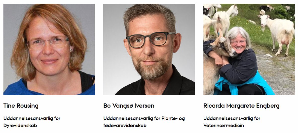 ER DU NYSGERRIG PÅ AU VIBORGS NYE UDDANNELSER? 🌞 Her svarer vi på fire spørgsmål, som du måske også har stillet dig selv. Læs med og bliv klogere på, om Plante- og fødevarevidenskab, Dyrevidenskab eller Veterinærmedicin er noget for dig! 🐴 🐷🐄 🍀 👉 . lnkd.in/eMWxE5cA