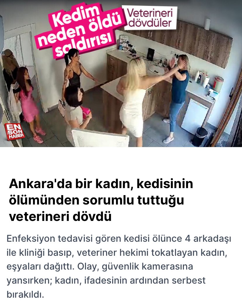 vetheksitesi's tweet photo. Ankara/Çankaya’da Veteriner Hekim Ceren EROĞLU meslektaşımızın muayenehanesi kedi sahibi  tarafından basılıp tehditler savrulup darp edilmiştir. Sağlıkta şiddet yasasına dahil edilmemiz için ne bekleniyor!
@merkezkonseyi @TCTarim @ibrahimyumakli @KamuVetHekimler https://t.co/P6H43O73eF
