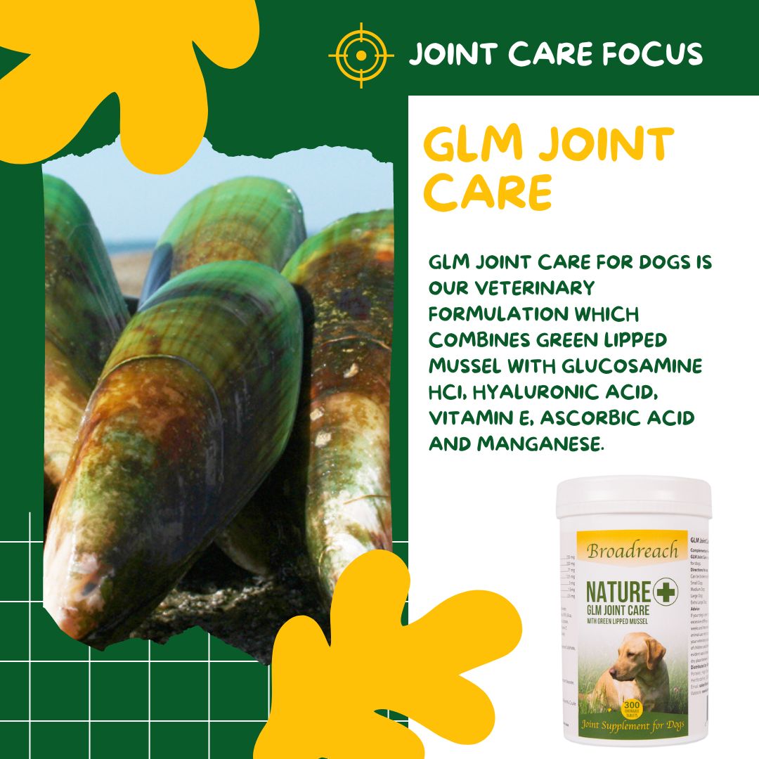 BroadreachN's tweet photo. Our product focus for August is our GLM Joint Care - For dogs showing the first signs of stiffness and for general maintenance support. Helps support achy, stiff and less mobile joints. 
https://t.co/BiC76q8nWr
#dogjointsupplement #dogjointhealth #dogjoint https://t.co/JkpnJx2X16