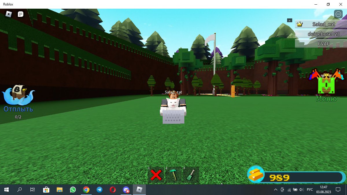 SuperCraft004's tweet photo. Я катаюсь в вагонетке со своим другом в построй корабль и найди сокровища в Roblox https://t.co/494niCmQaj