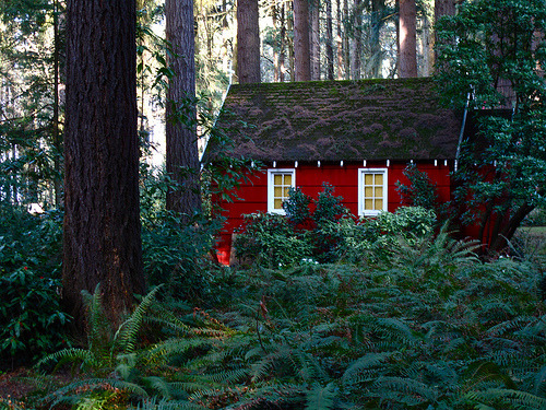 water_planet's tweet photo. Forest Cottage, The Grotto, Oregon #ForestCottage #TheGrotto #Oregon https://t.co/bPNDm5bgRw https://t.co/w7kGb6MqJz
