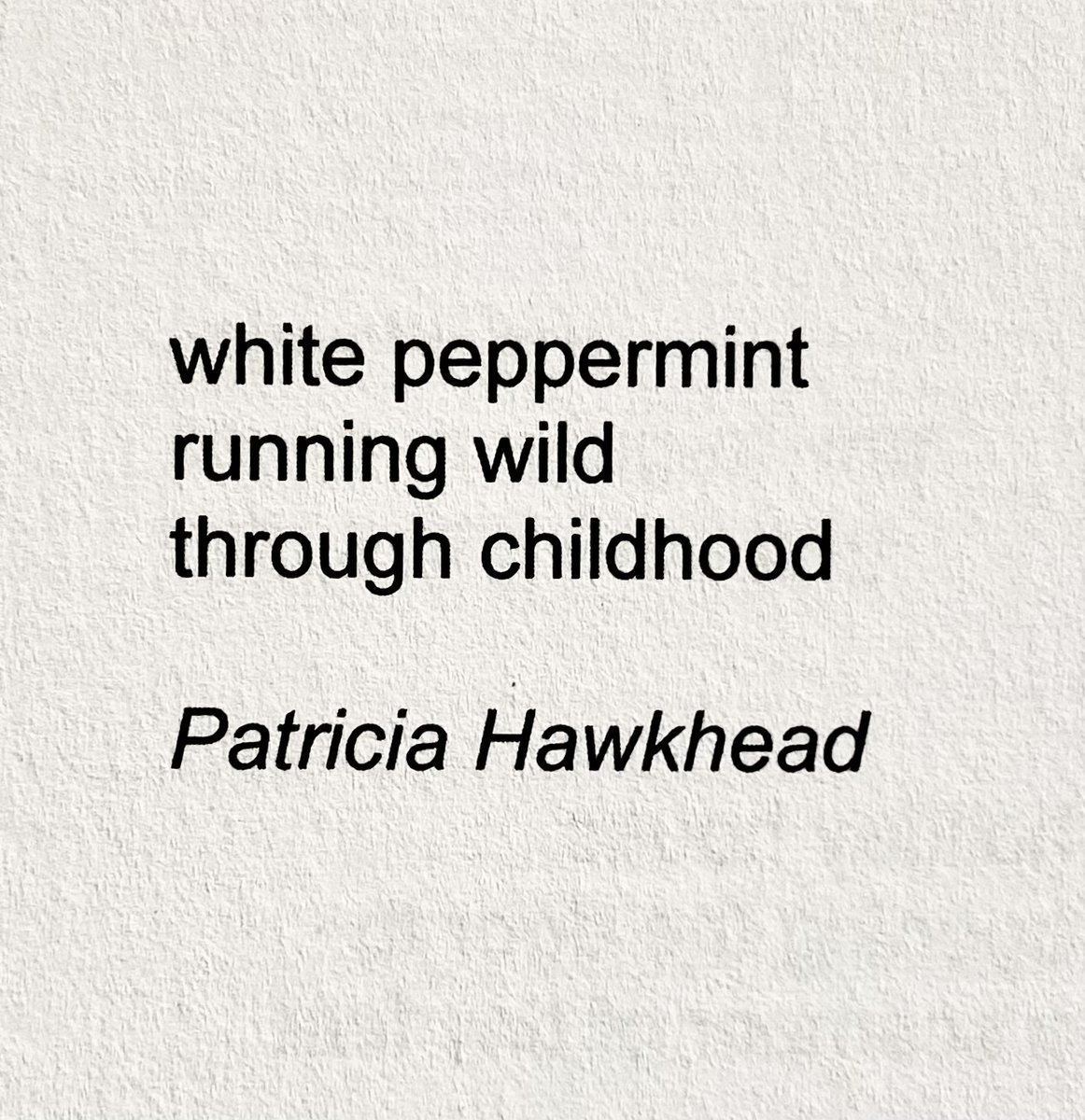 I'm in issue 76 of Presence Magazine with this #haiku :

white peppermint
running wild
through childhood

Thanks to editor Ian Storr for publishing.

#senryu #childhood #nature #gardening