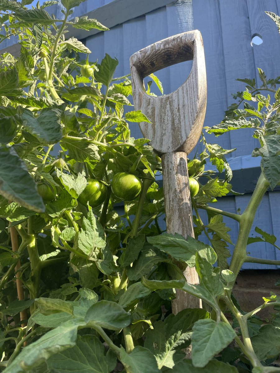 Dr Maria Gebbels tweet media