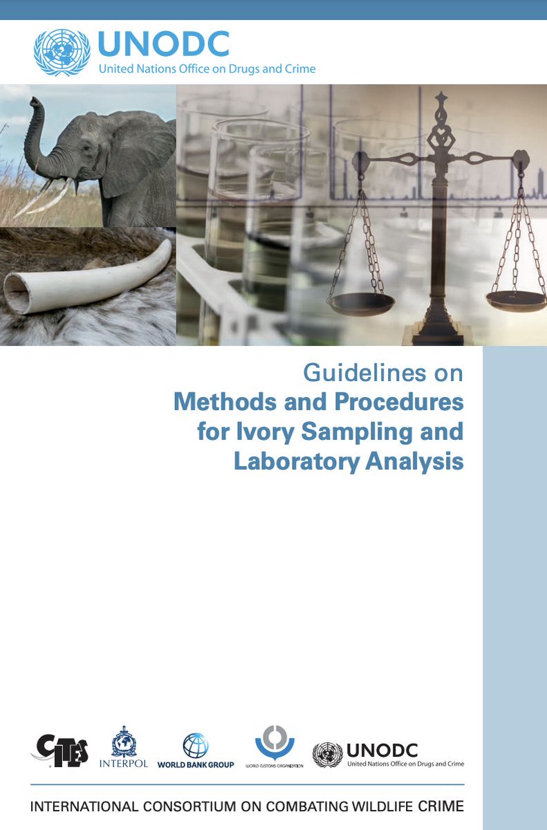 Developed by #ICCWC with experts from around the world, these guidelines support the deployment of forensic technology to combat elephant poaching & associated illegal trade in ivory 🐘🔬 📘Read here: bit.ly/4598w4M 🌐Find all ICCWC tools here: bit.ly/3hPGHuS