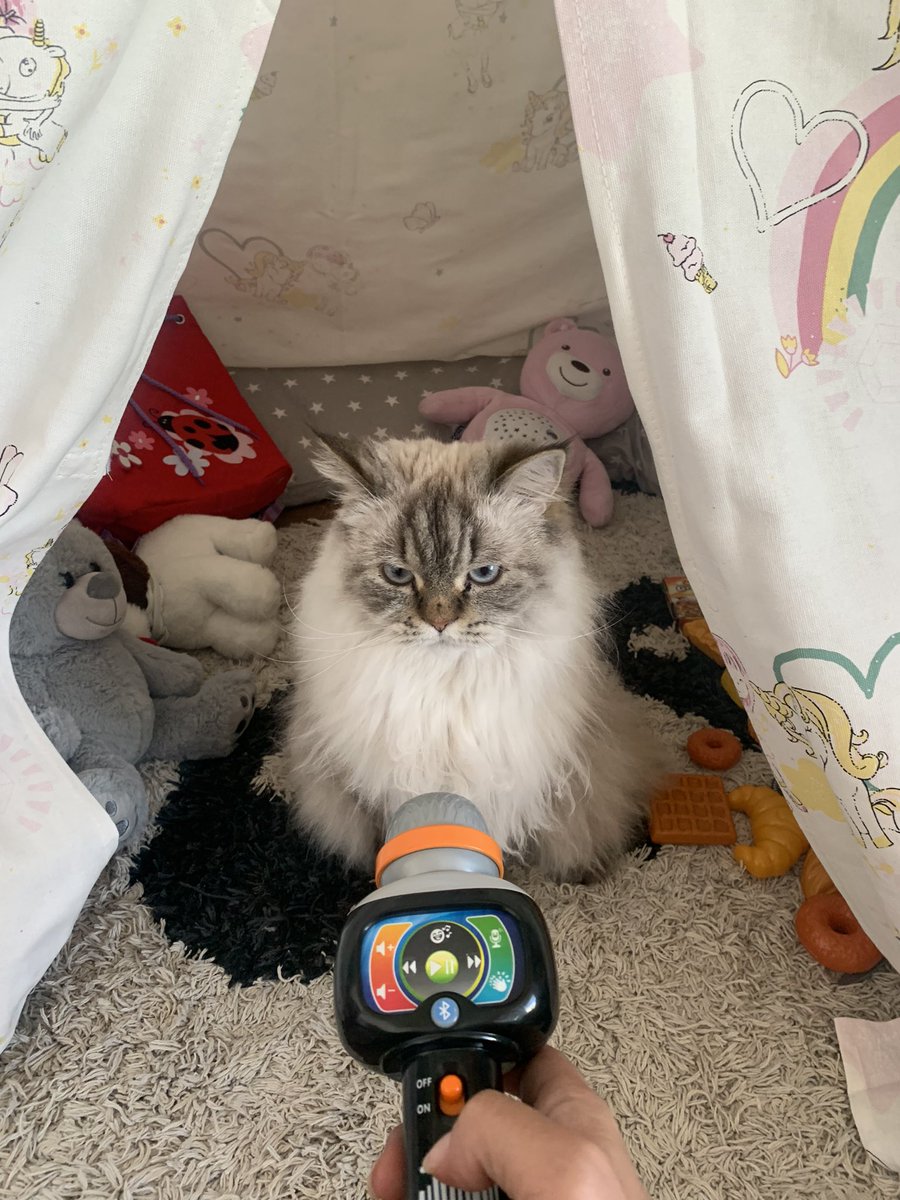 fluffy_potichat's tweet image. J’ai PAS mangé l’oiseau bleu OK ? Je sais pas pourquoi il y a une croix moche et je m’offusque de ces accusations infondées