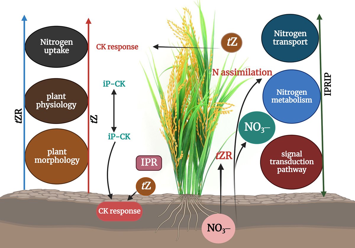 Wiley Ecology, Environment, and Sustainability​​ tweet media