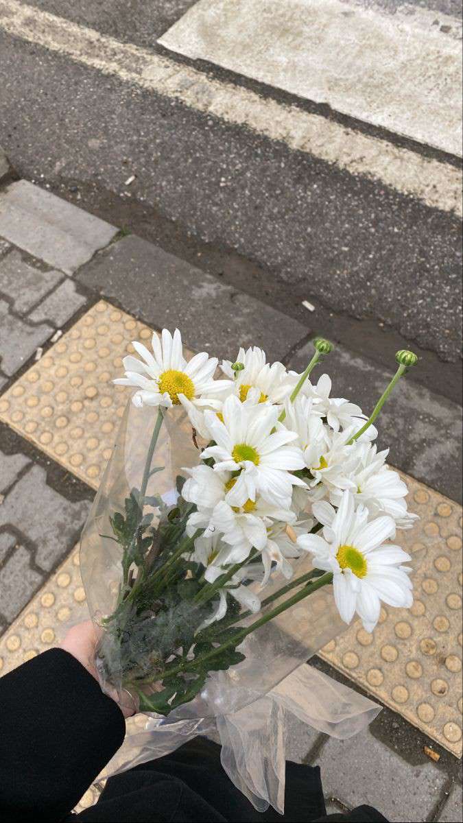rpdsbestcop's tweet photo. guys look! :D my baby got me flowers 🥺
i love her so much <3 i can’t believe i’ve got a girlfriend like her. feel like crying :,) https://t.co/TdTzIvs8O4