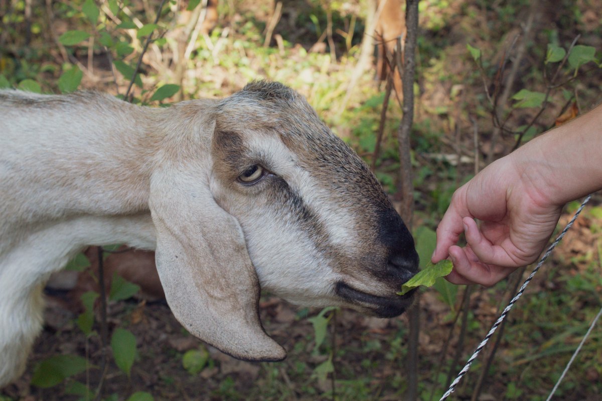 TU Campus Rec tweet media