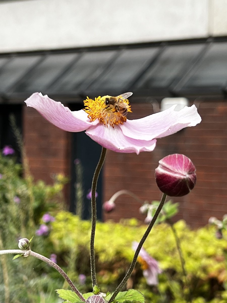 Fatemeh (@drmoheimani) on Twitter photo 