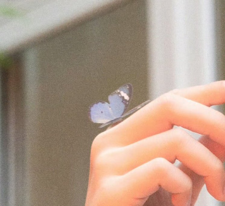 BBBmarryme's tweet photo. butterfly effect 🦋 #BuildJakapan https://t.co/znq5fJHHxl