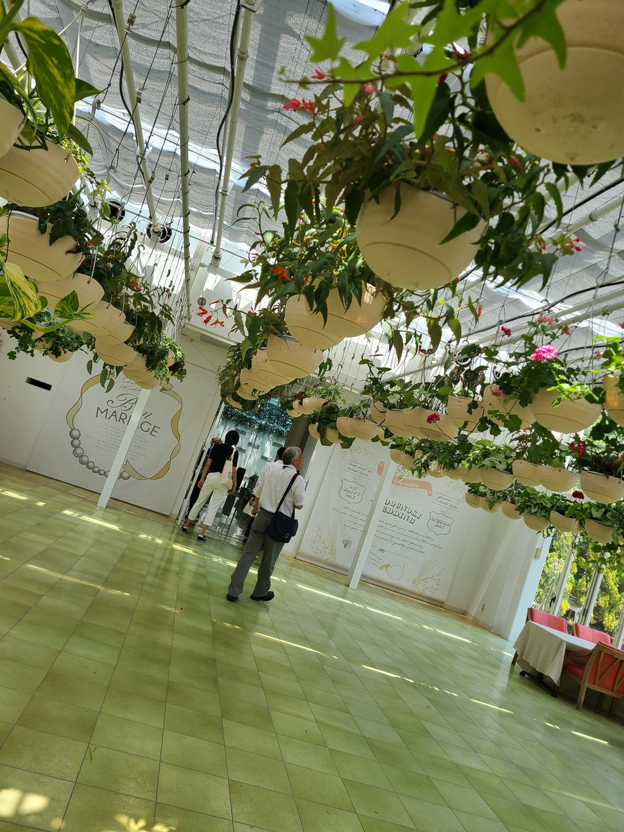 budounoki_group's tweet photo. 空と大地はぐっと引き込むような情景。
お花と畑とお野菜は、力強い成長。
夏のぶどうの樹周辺です😊✨
さて、夏休みお盆シーズン。
各店舗、非常に予約が混みあっておりましてご案内が難しい日にちも多くあります😭
お早めにお電話にて、ご予約お待ちしております✨

#ぶどうの樹 #岡垣 https://t.co/NvdBESqKg1