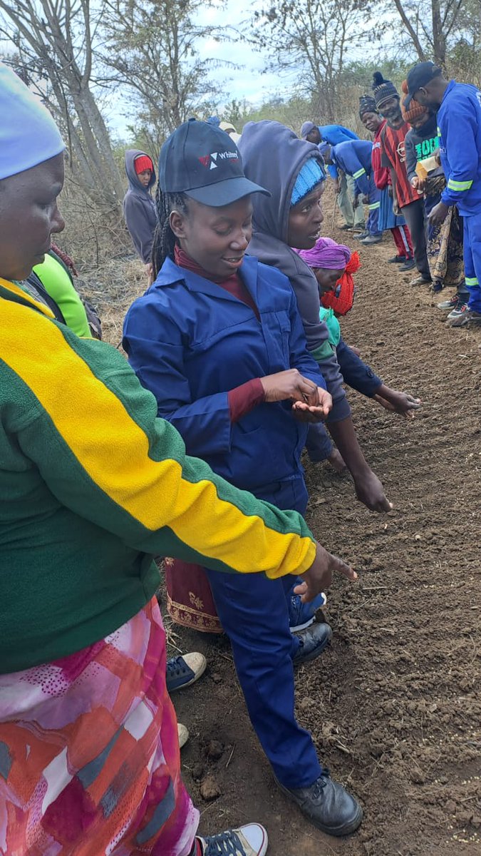 sirpzim's tweet photo. scheme profitability. The business model will include access to extension services from the contractors and linkages to crop finance where required. Partnerships with horticulture contractors will see 200ha being produced across 8 irrigation schemes this season. https://t.co/SzthSLT8aq