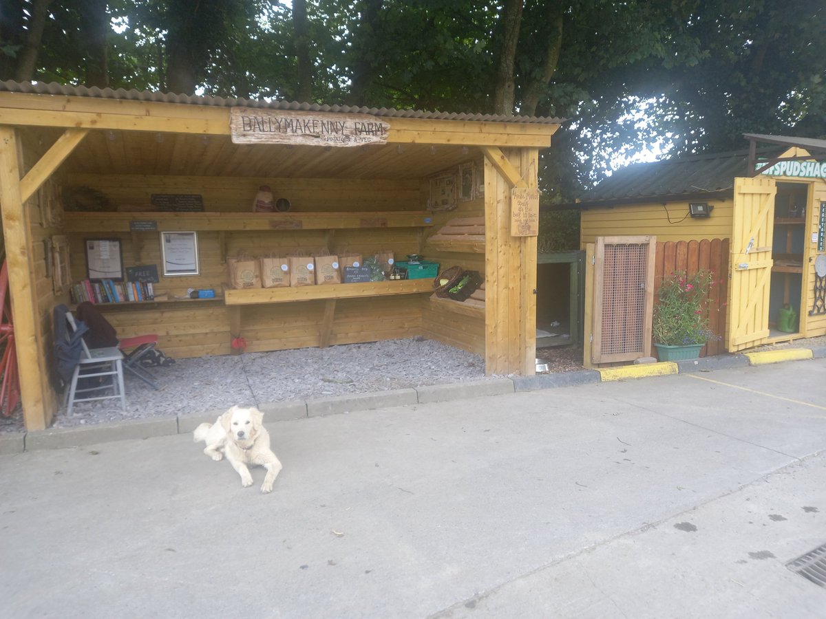 BallymakennyF's tweet photo. We are open @BSpudshack on this so far dry Thursday. Lovely #Queens potatoes and picked this morning #LongStemBroccoli 
Don't forget if you are calling in, bring any books you have at home and maybe take one home from our library 🥰 #ballymakennyfarm https://t.co/qNxE1OypMc