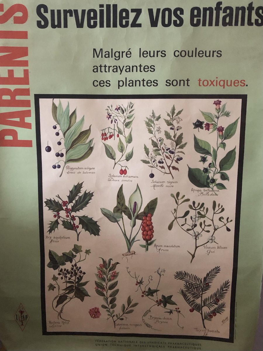 pharmaplace's tweet image. Avant on n’avait pas le digital mais les affiches #pharmacien #prévention #fspf petit cours de botanique