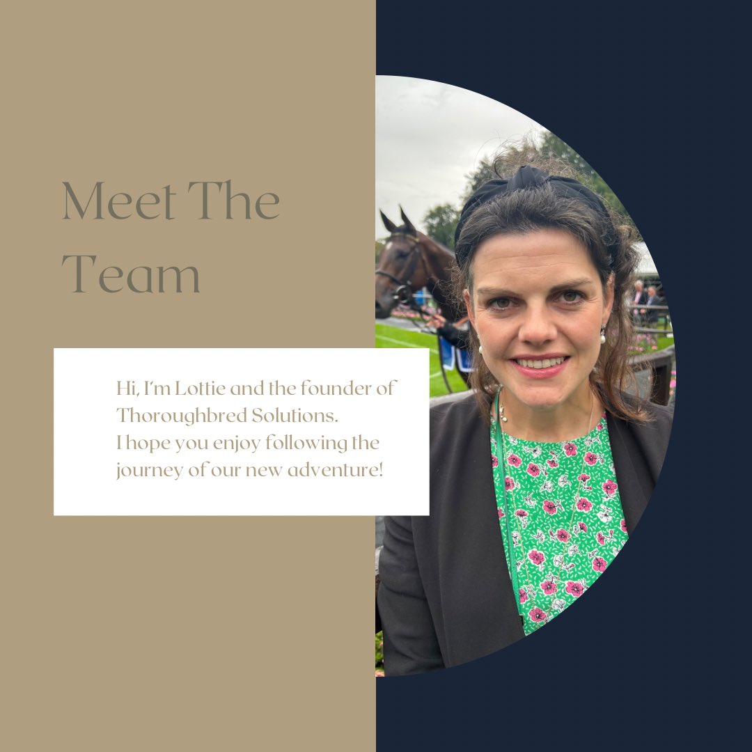Tbred_solutions's tweet photo. Thank you to all my lovely followers. I thought it was time I introduced myself. To find out more about Thoroughbred Solutions and how we can help you head to the link in the bio. #TBS #behindthebrand #outsourcing #virtualassistant #thoroughbreds #horseracing #meettheteam ✨✨ https://t.co/3rCKmBR4Bz