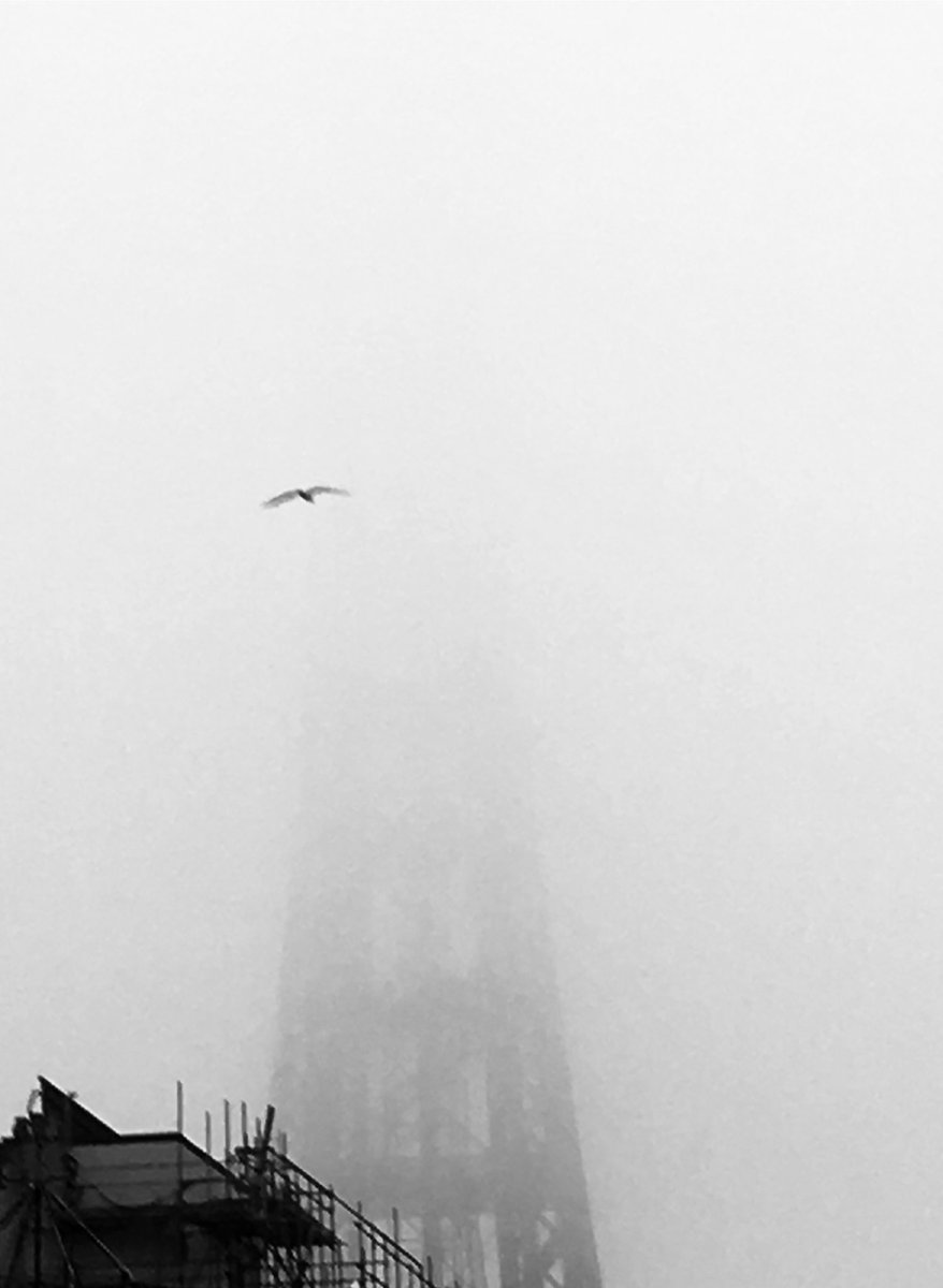 jillreidy's tweet photo. @365_in_2023 #365in2023 #365in2023dailyprompt #absconditus #hidden #obscured That day we lost the Tower….
#seamist https://t.co/3owRqNTCEM