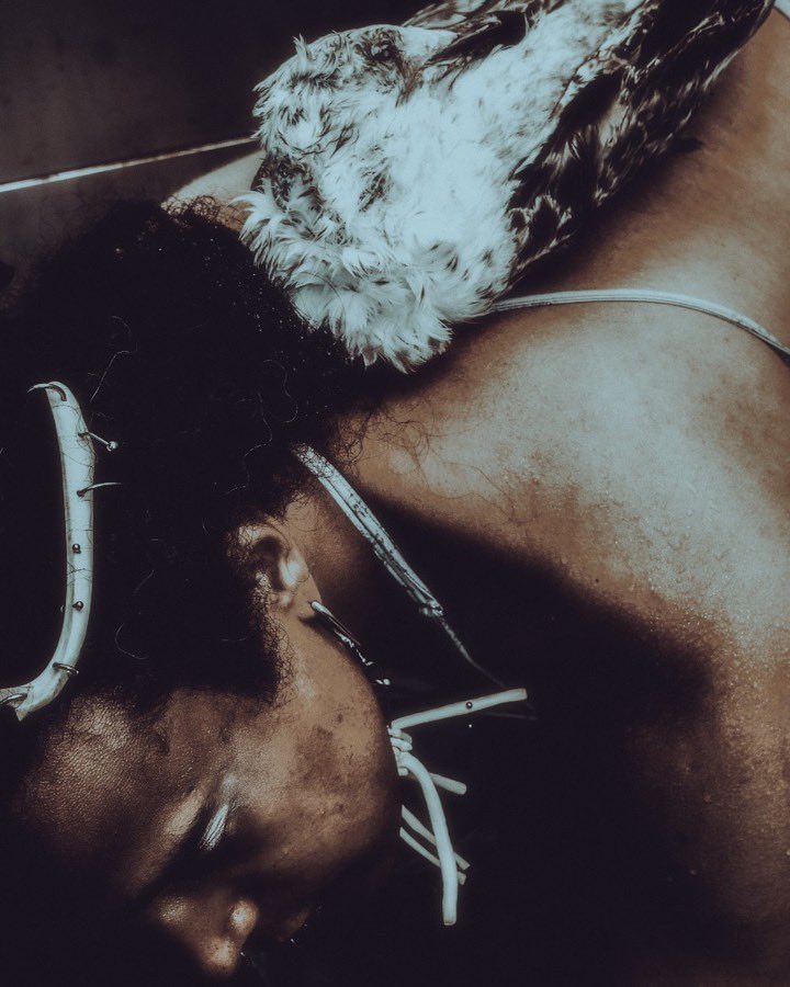 Not A Dream But A Controlled Explosion 💥 OUT NOW

Dedicated to the dreamers and the blank slates 

I hope u enjoy xo

linktr.ee/fixedabode