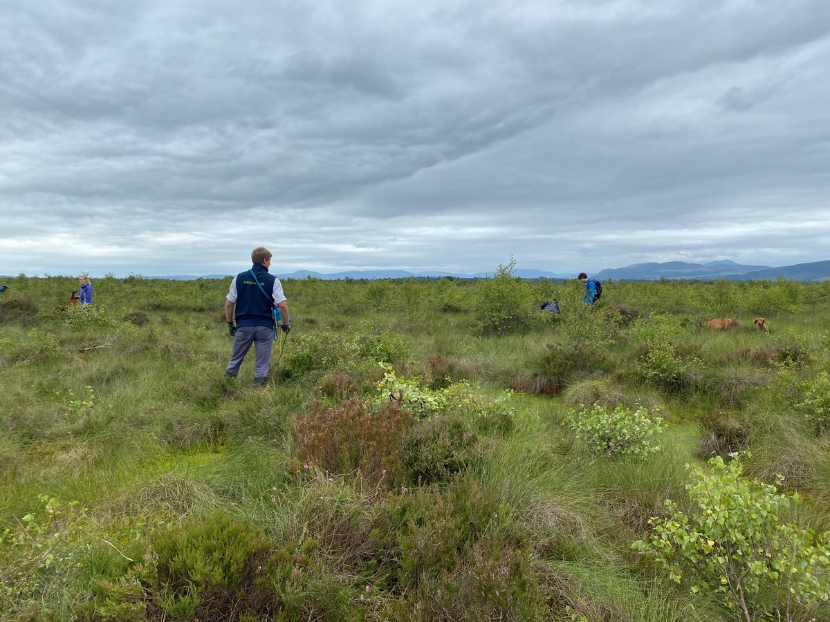 NatureScotSouth tweet media