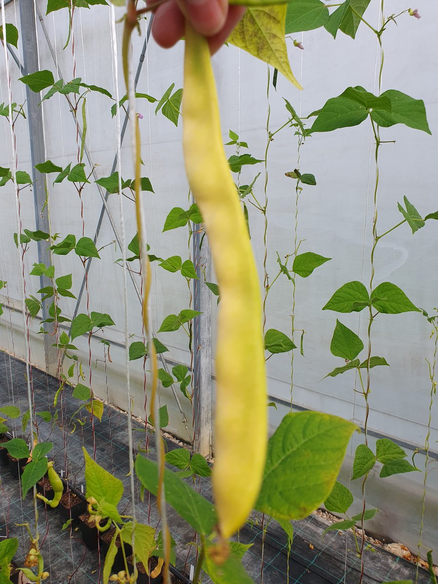 Kmetijski inštitut Slovenije tweet media