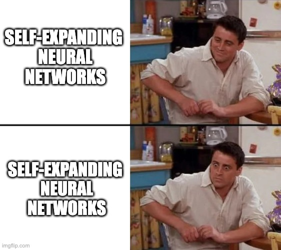 jakub_smekal's tweet image. Self-Expanding Neural Networks

arxiv.org/abs/2307.04526
Rupert Mitchell, @mundt_martin, @kerstingAIML