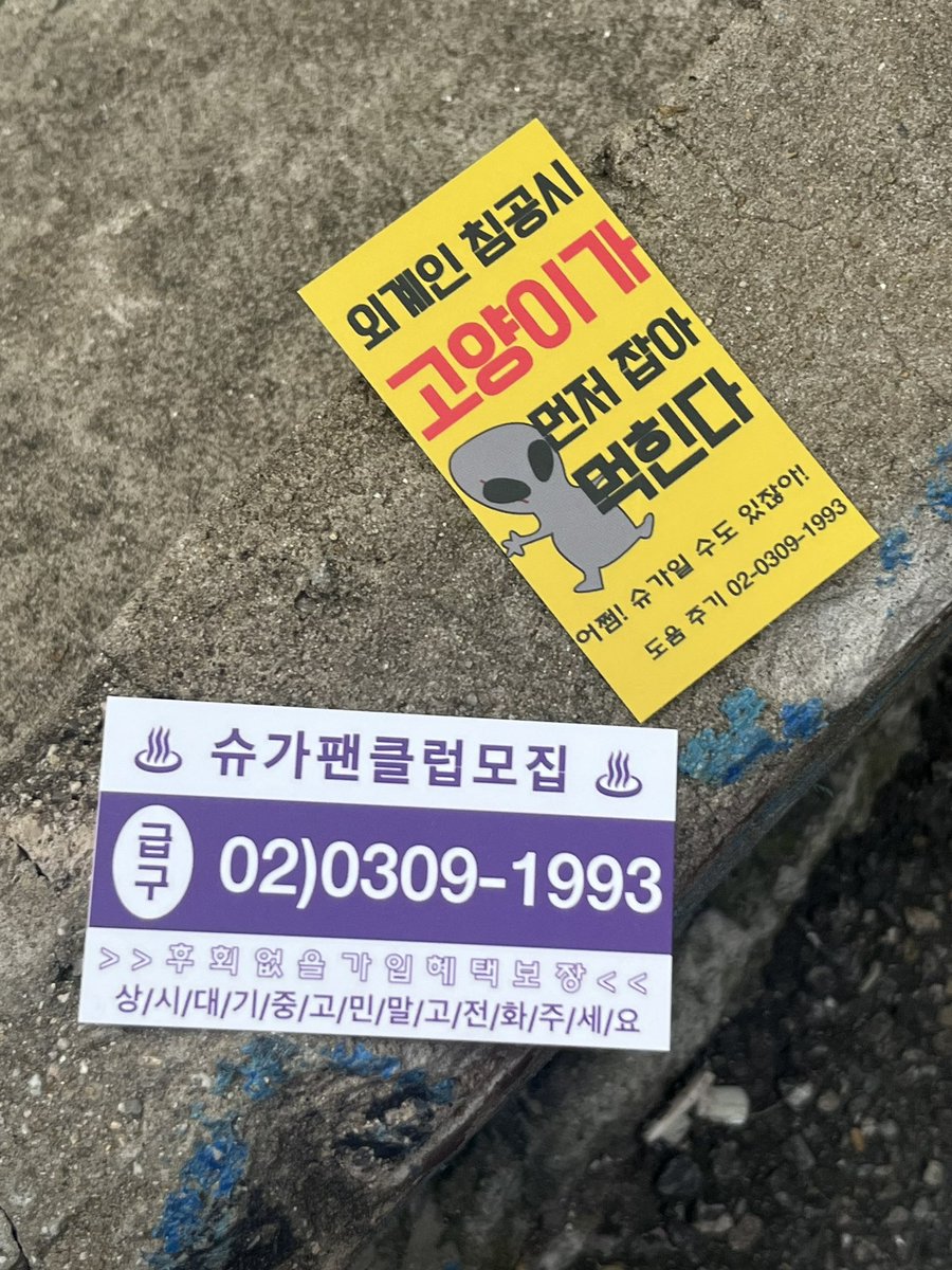 덕구 tweet media