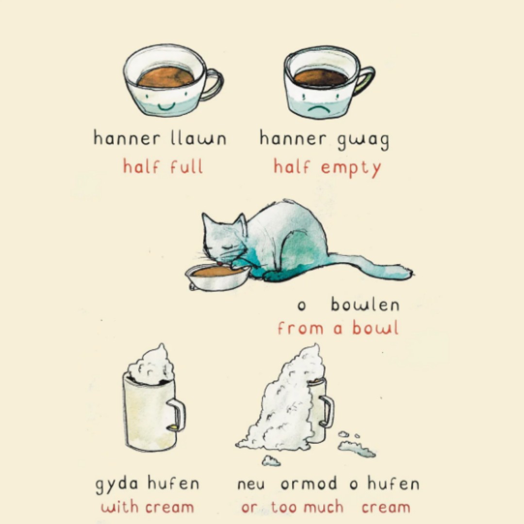 WelshGift's tweet photo. In Stock and SIGNED by the author/artist - 31 Ways to HOFFI COFFI: Learning Welsh with 31 strange coffee habits by @SketchyWelsh 

We only have a few copies available, so order yours now!
https://t.co/I8DnxCVunl https://t.co/JiLHufvHPC