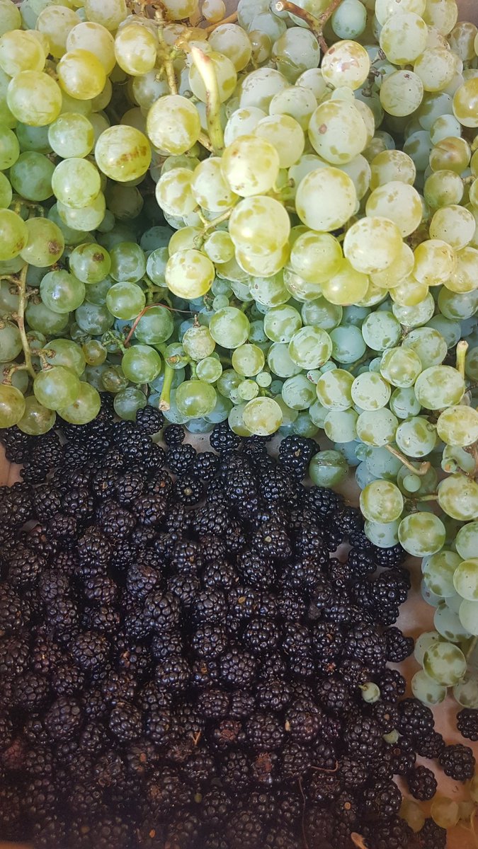 3 de agosto, provincia de Salamanca. ¿Cambio climático?