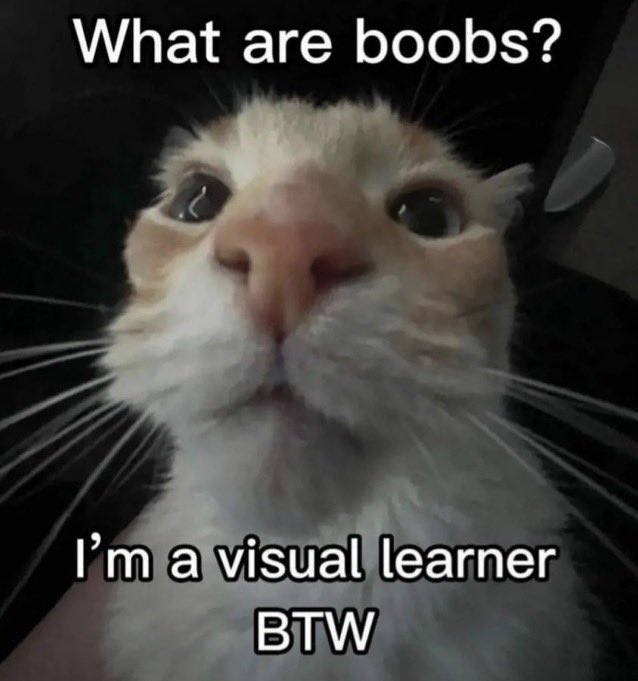 Exodia__47's tweet photo. #Meme #boobs #tits https://t.co/GX8iJgfMGz