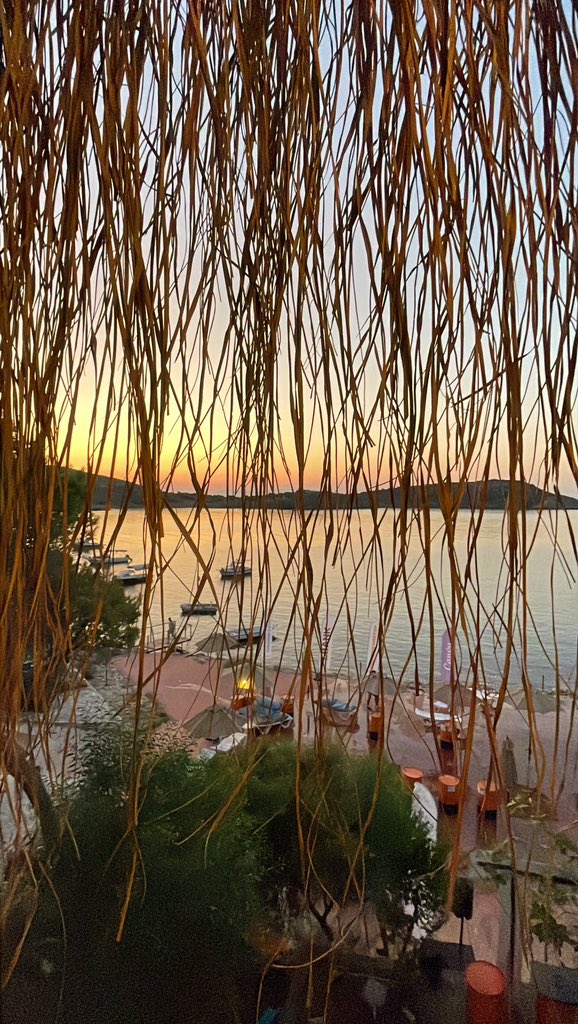 Gümüşhane Blockchain Community tweet media