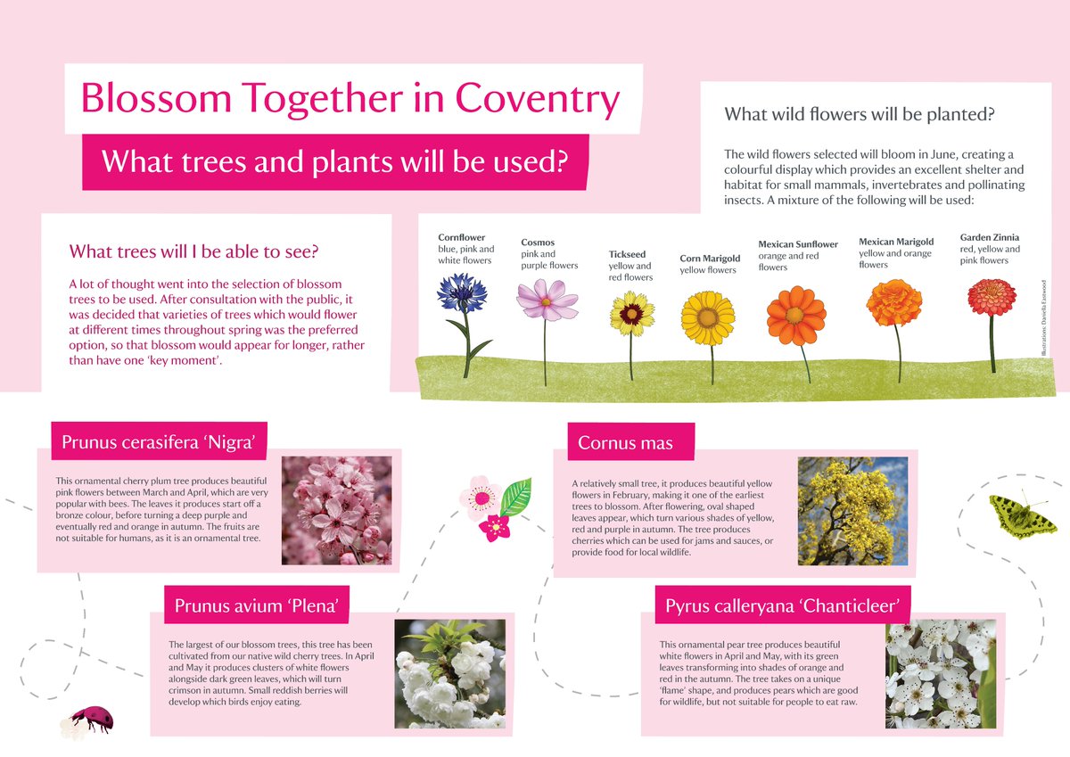 NTBirmingham's tweet photo. ... what trees and plants will be used, and how you can get involved. Or head over to https://t.co/a5vAk7C30d 

We'll keep you posted with more project updates for Blossom Together in Coventry throughout the summer and autumn!  2/2 https://t.co/BbR4GLO2s3