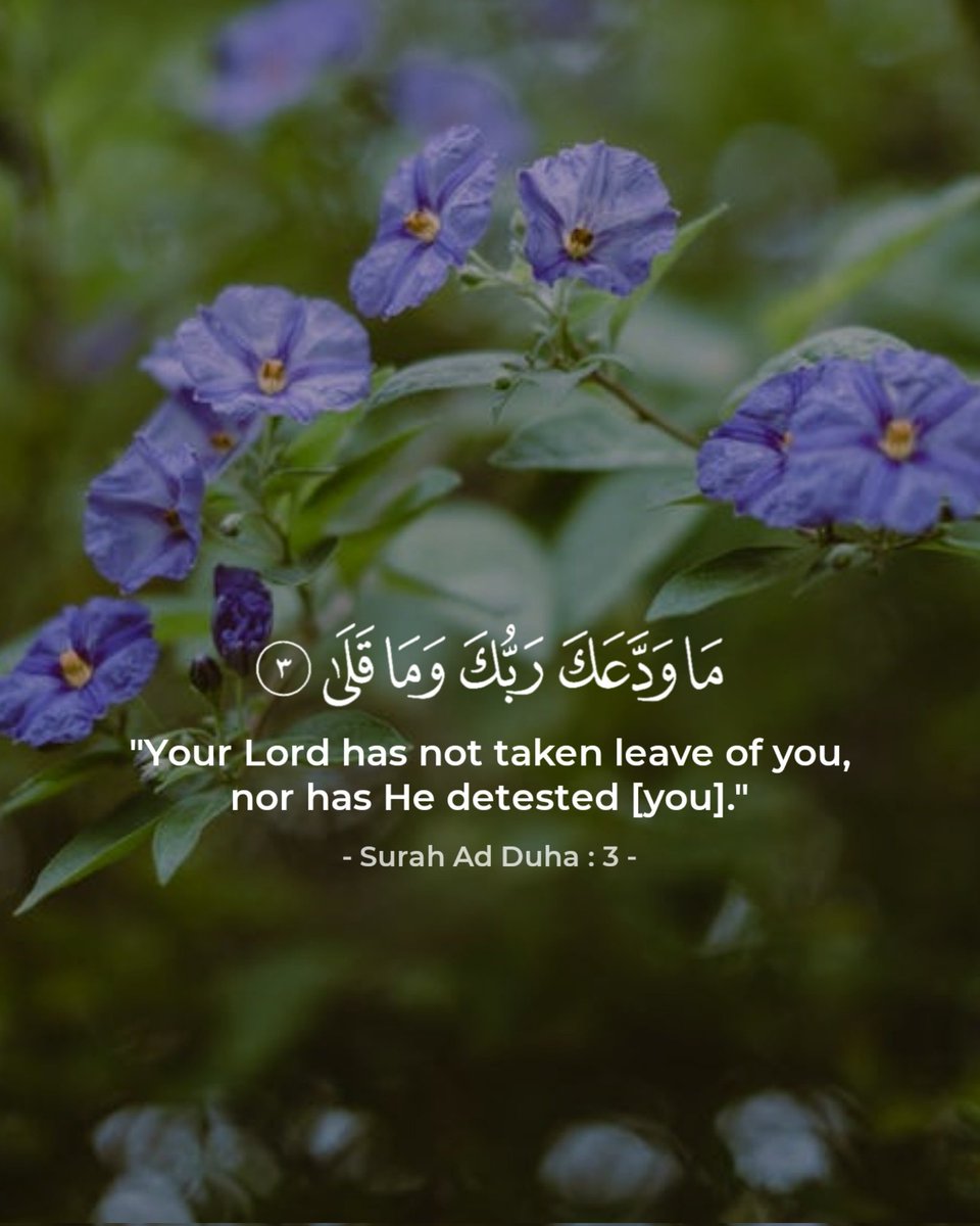 QuranPath_'s tweet photo. @TheSonnyFaz https://t.co/xqnIdoA7K5