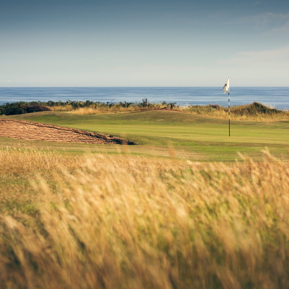 CastletownGolfLinks tweet media