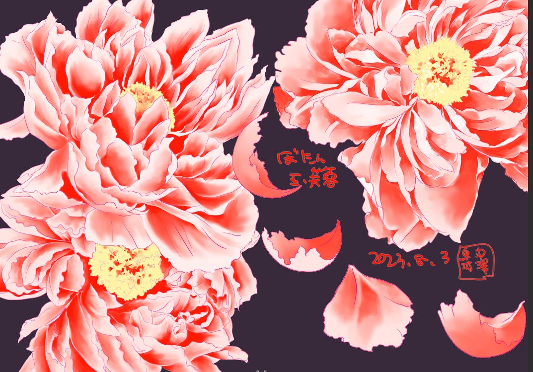 「カラー用に描いた牡丹のお花でも貼ってみよう。 玉芙蓉っていう品種を描きました。ち」|中澤泉汰@漫画描きのイラスト
