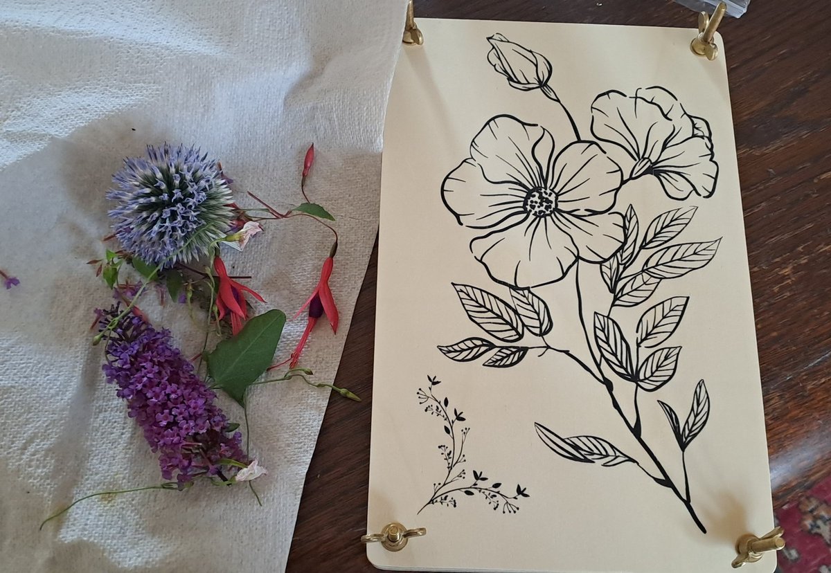 EmmaKayHist's tweet photo. I loved pressing flowers as a kid.Trying to inspire our son to do the same.Does anyone else remember doing this/still does it? I had a treasured National Trust flower press,which I kept for years.Had to succumb to a new (&much bigger one)!
#flowerpressing
#Flowers
#dryingflowers https://t.co/POu0HpQ5DJ